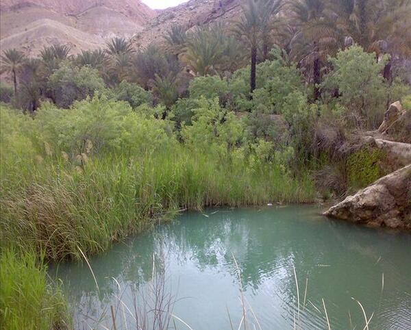 عکس جاهای دیدنی لامرد