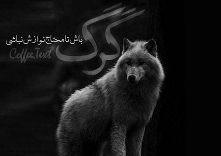 عکس پروفایل مردانه فاز سنگین