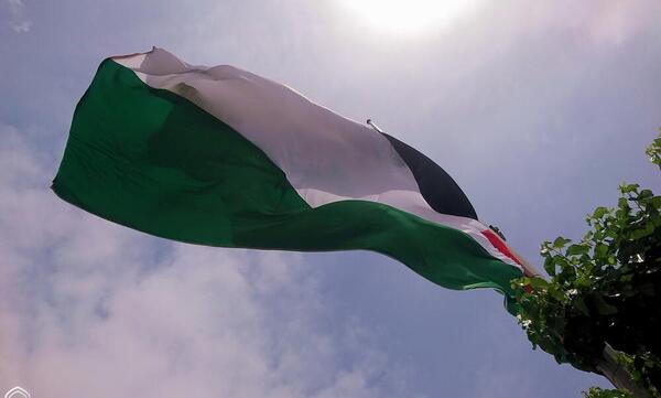 عکس پرچم فلسطین قدس