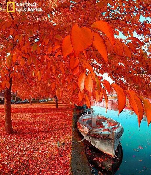 عکس تصاویر زیبای پاییز ایران