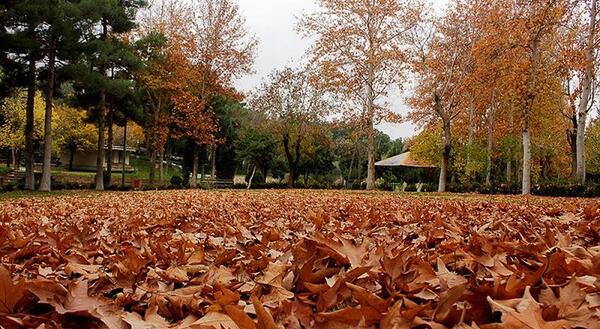 عکس تصاویر زیبای پاییز ایران