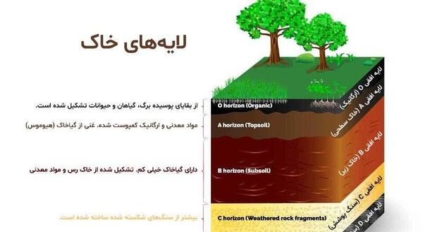 عکس خاک و گیاه