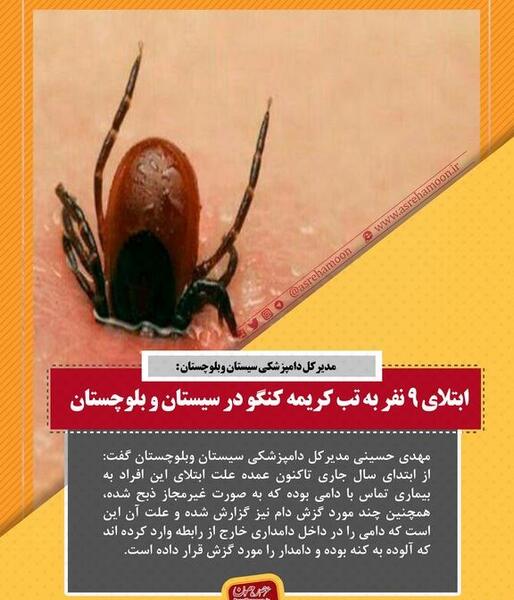 عکس کنه کنگو