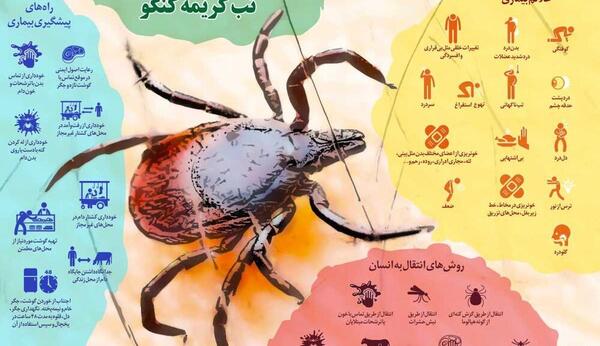 عکس کنه کنگو