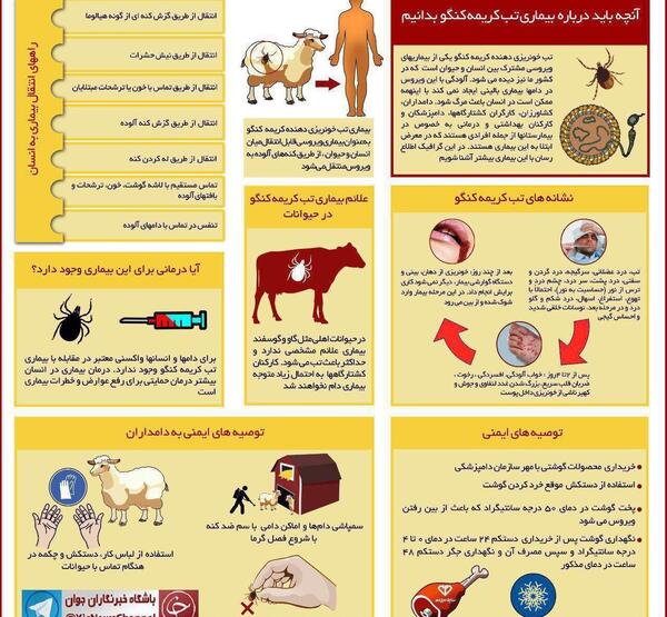 عکس کنه کنگو