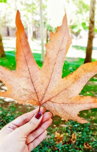 عکس پروفایل پاییزی جذاب
