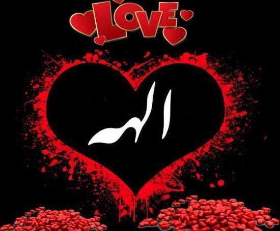 عکس نوشته روز دختر الهه