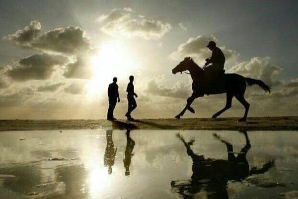 عکس اسب صاحب الزمان