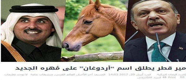عکس اسب صاحب الزمان