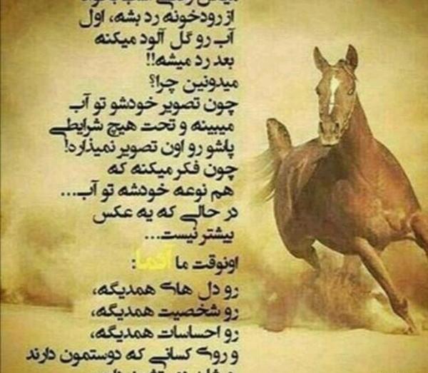 عکس اسب صاحب الزمان