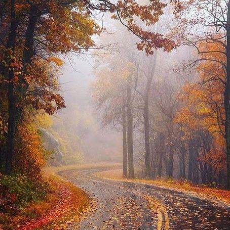 عکس پاییز و زمستان کنار هم