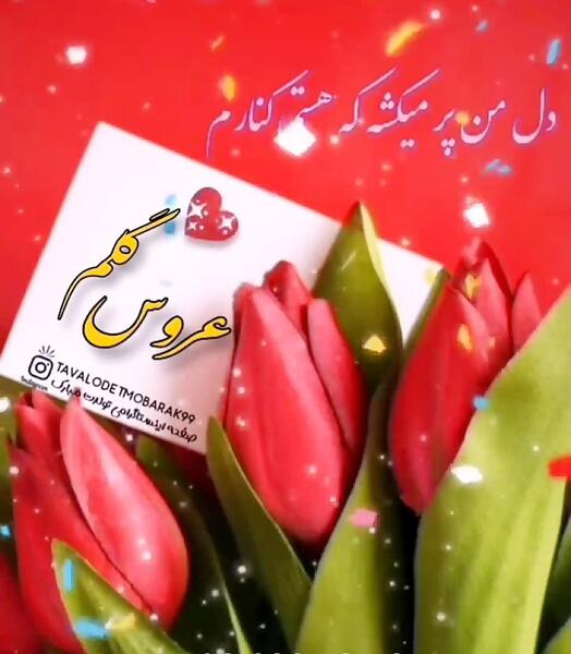 عکس پروفایل عروس گلم تولدت مبارک