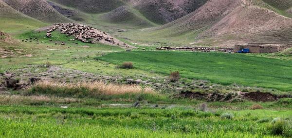 عکس روستای رازیان کرمانشاه