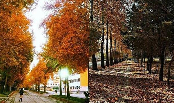 عکس پاییز ارومیه