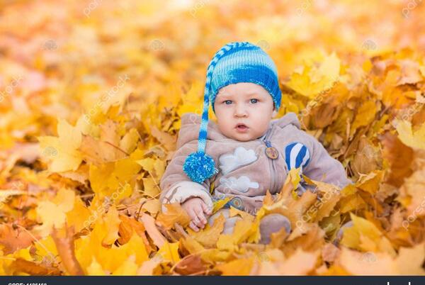 عکس پاییز نوزادی