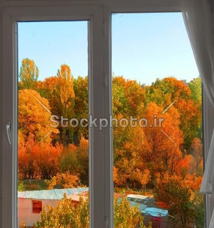 عکس پاییز پشت پنجره