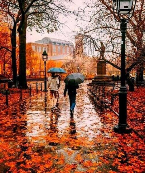 عکس پاییز های زیبا