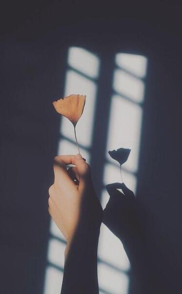 ایده برای عکس سیلوئت
