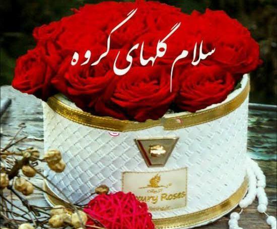 عکس سلام به اعضای گروه