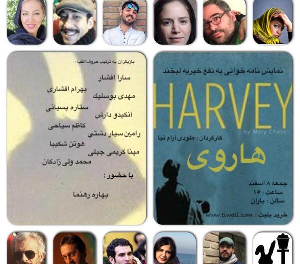 عکس مینا کریمی جبلی