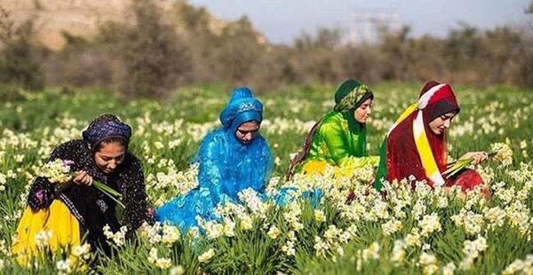 عکس دختر درحال چیدن گل