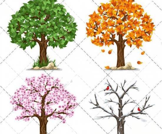 عکس ایده برای نقاشی چهار فصل