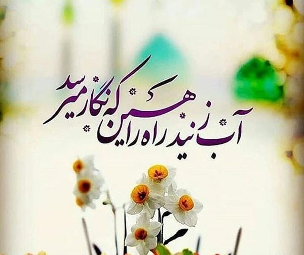 عکس تولد امام زمان پروفایل