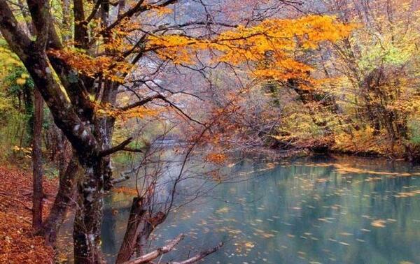 عکس پاییزی خیلی زیبا