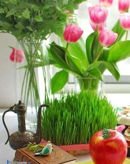 عکس سبزه عید پسرانه
