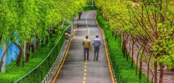 عکس پیاده روی در پارک