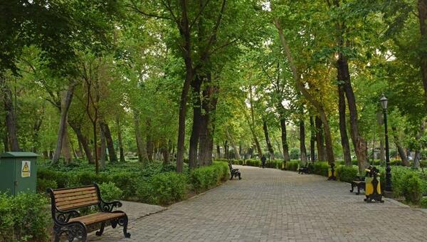 عکس پیاده روی در پارک