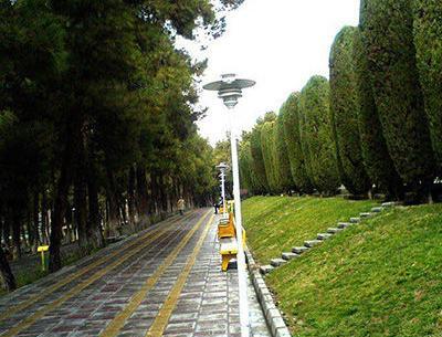 عکس پیاده روی در پارک