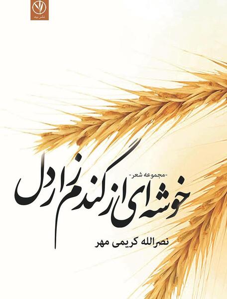 عکس گندم زار در تابستان