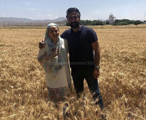 عکس گندم زار در تابستان