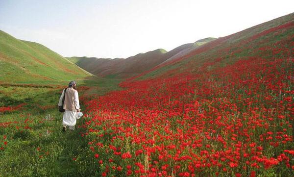 عکس های افغانستان زیبا