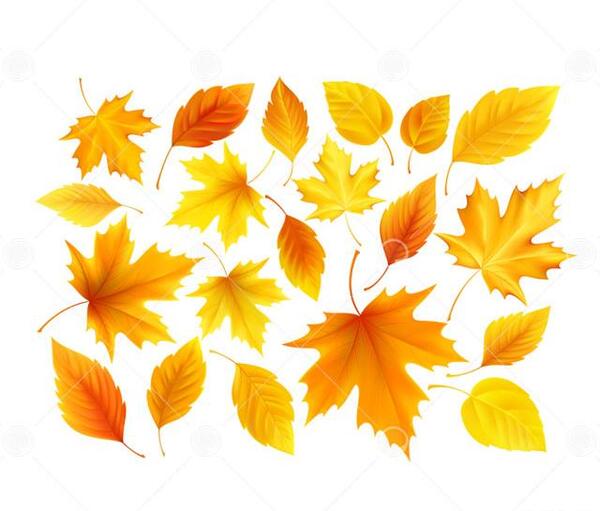 عکس برگ پاییزی کارتونی
