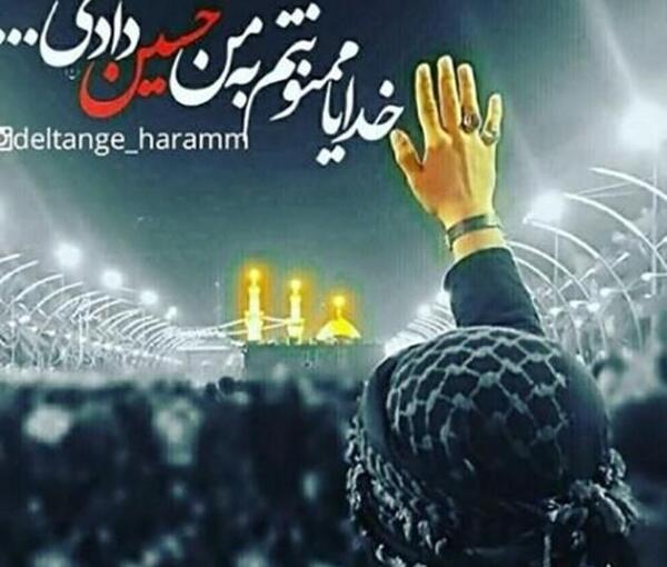 عکس پروفایل خاص کربلا