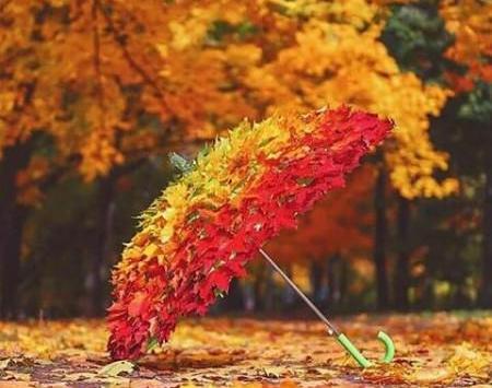 عکس پروفایل پاییز شیک