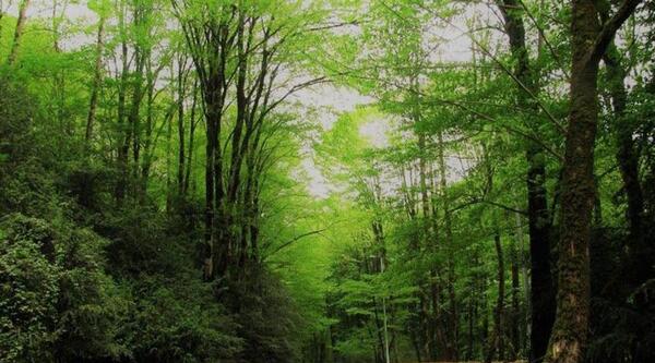 عکس جاهای دیدنی بابل