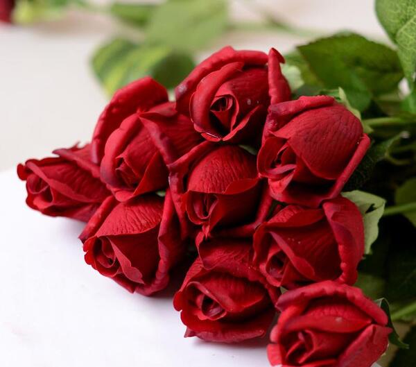 عکس گل برای پروفایل گل رز