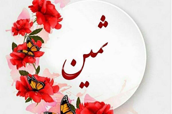 عکس پروفایل دخترونه ثمین