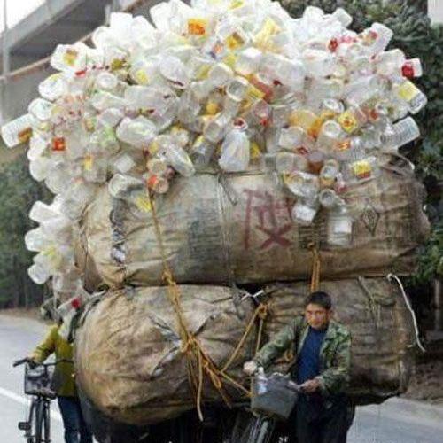 عکسهای دیدنی و جالب
