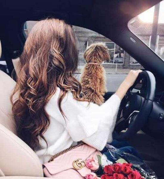 عکس دختر لاکچری پشت ماشین