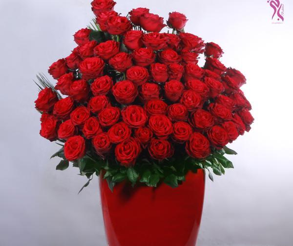عکس گل رز گلدان
