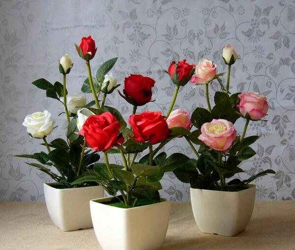عکس گل رز گلدان