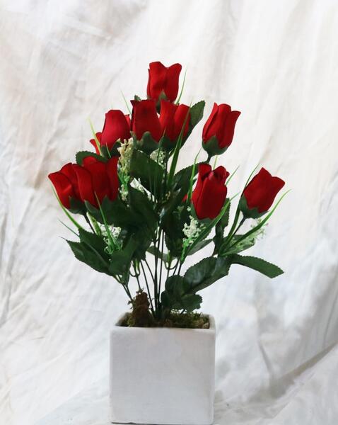 عکس گل رز گلدان