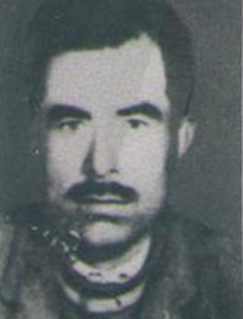 عکس علی دلداده