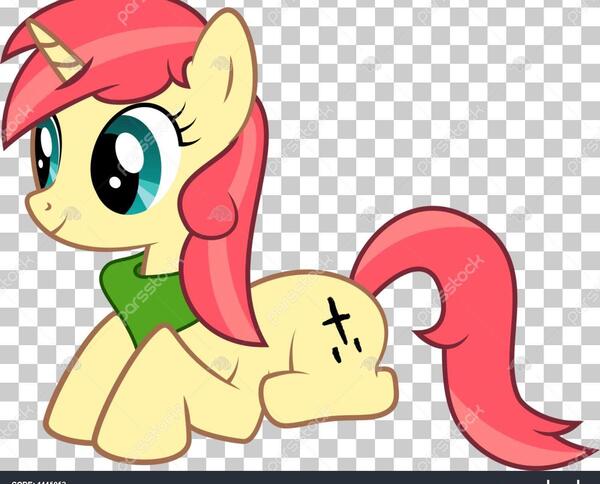 عکس پونی نشسته