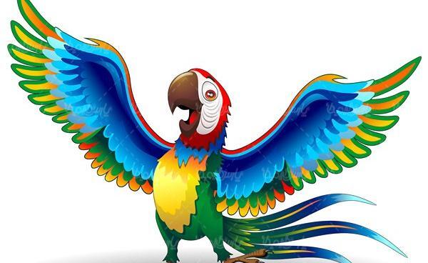 عکس تصاویر وکتور طوطی