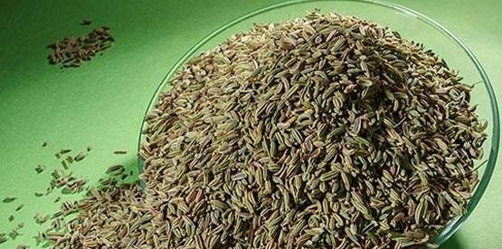 عکس رازیانه و زیره سبز